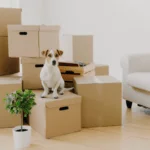 How to Update Your Resume for a Relocation