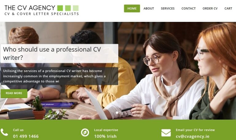 cv writing service dublin