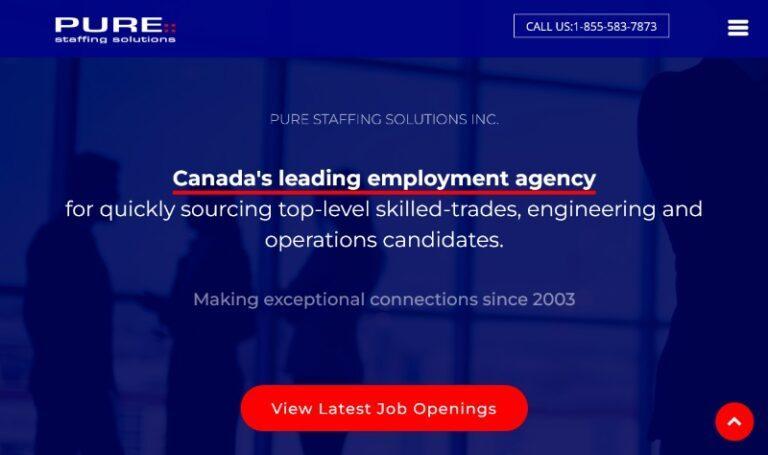 Best Staffing Recruiting Agencies In Toronto 2024   Pure Staffing Solutions 768x455 