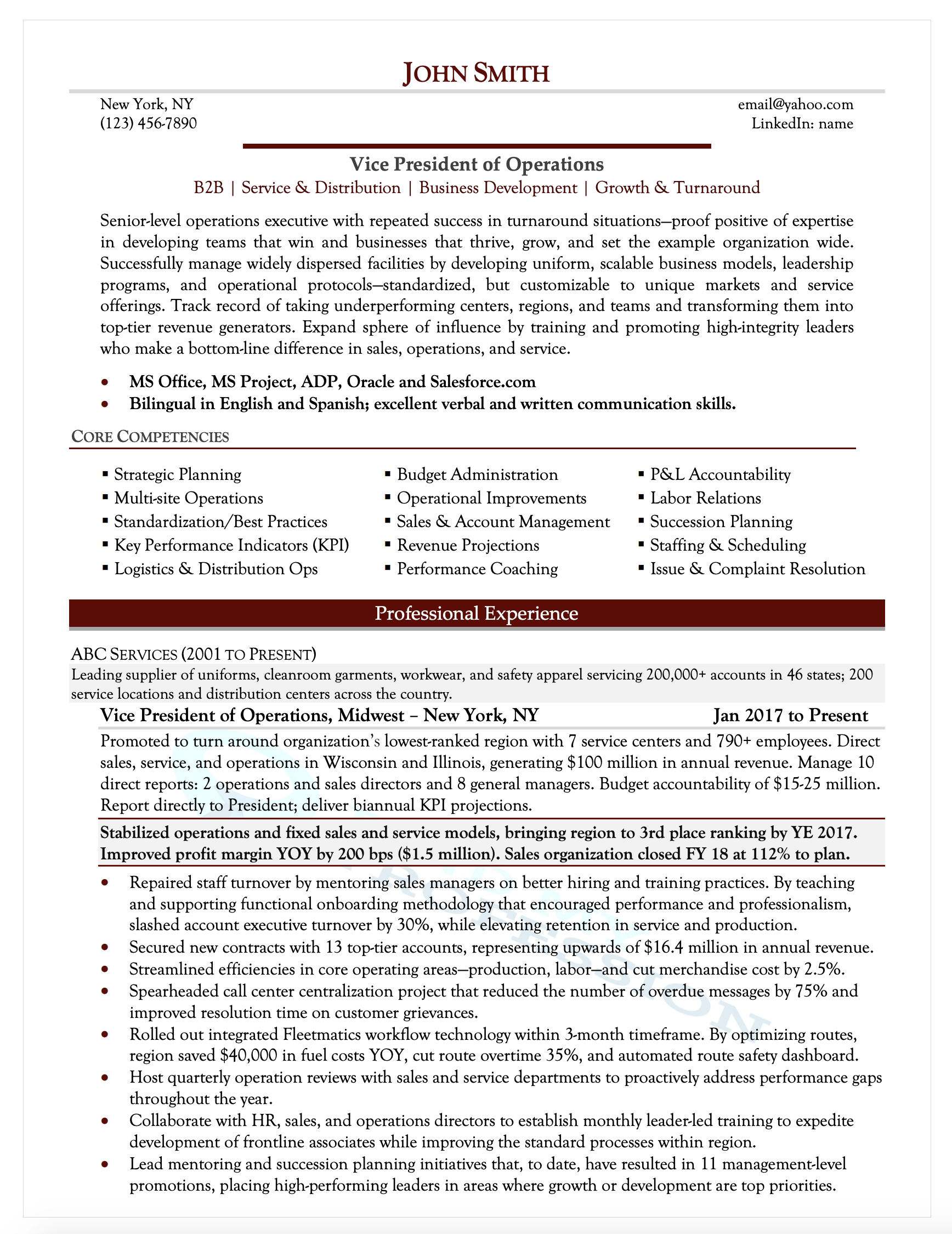 Director Level Resume Template