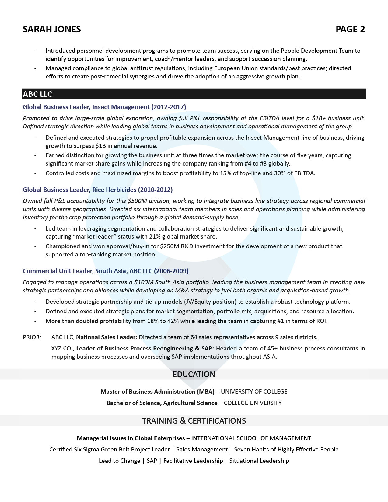 Executive Resume Sample: Senior Business Executive