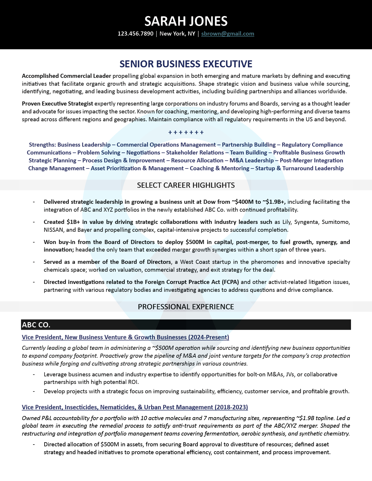 Executive Resume Sample: Senior Business Executive