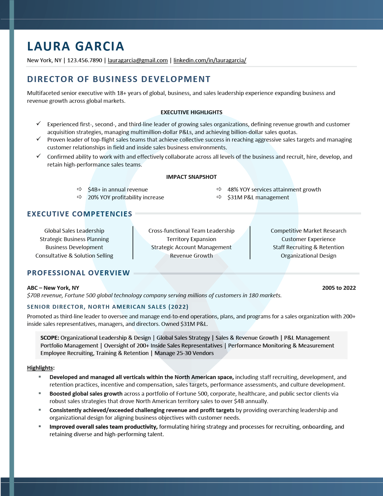 Executive Resume Sample: Director of Business Development