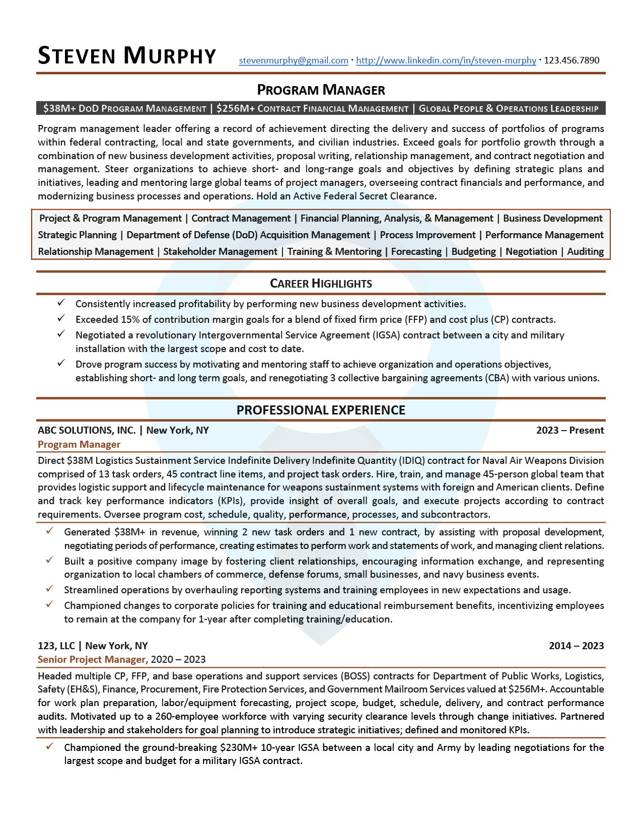 Professional Resume Sample: Program Manager