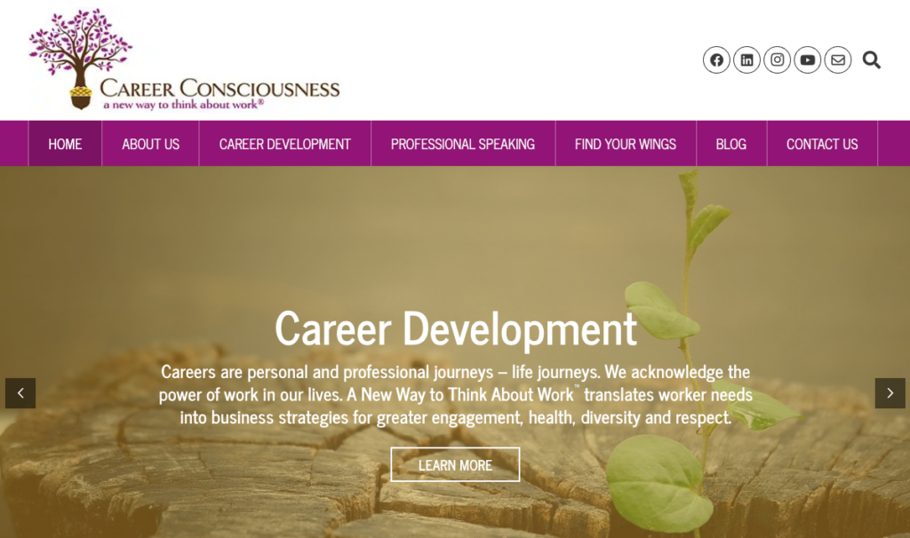 Career Consciousness